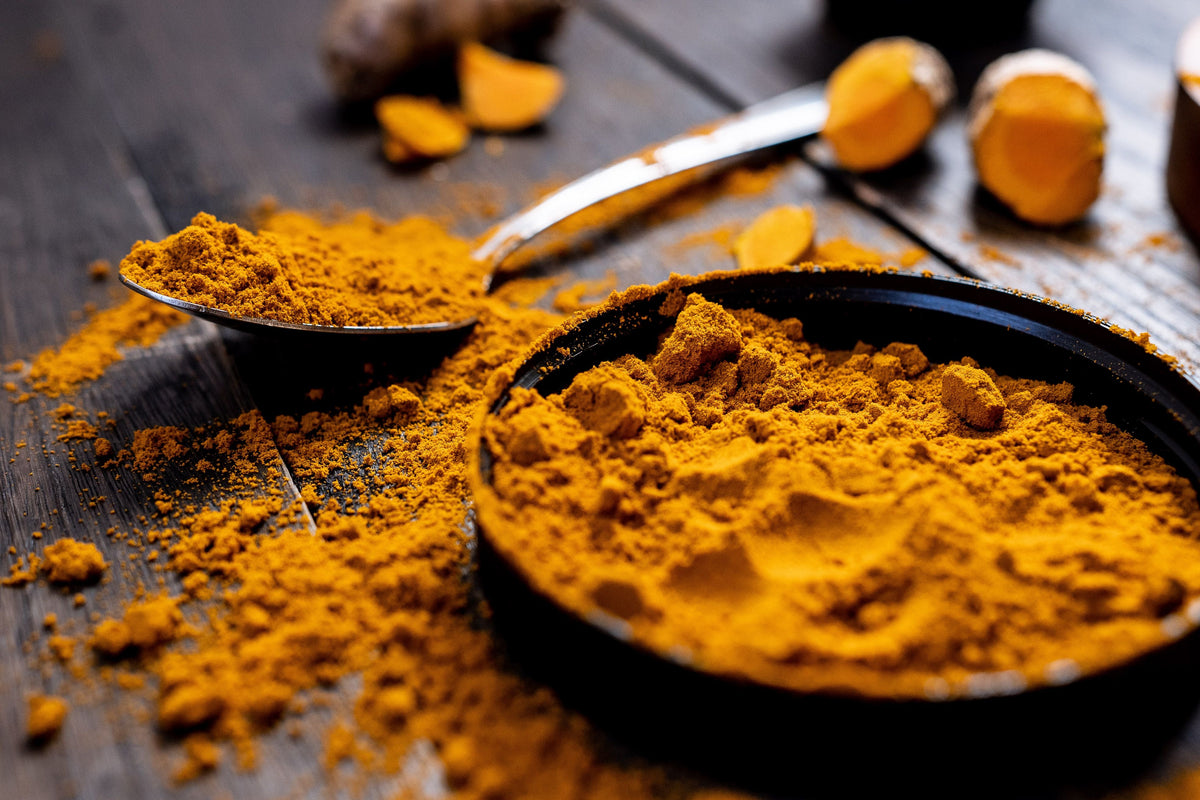 Curcuma en poudre et racine fraîche sur une table en bois, épice anti-inflammatoire