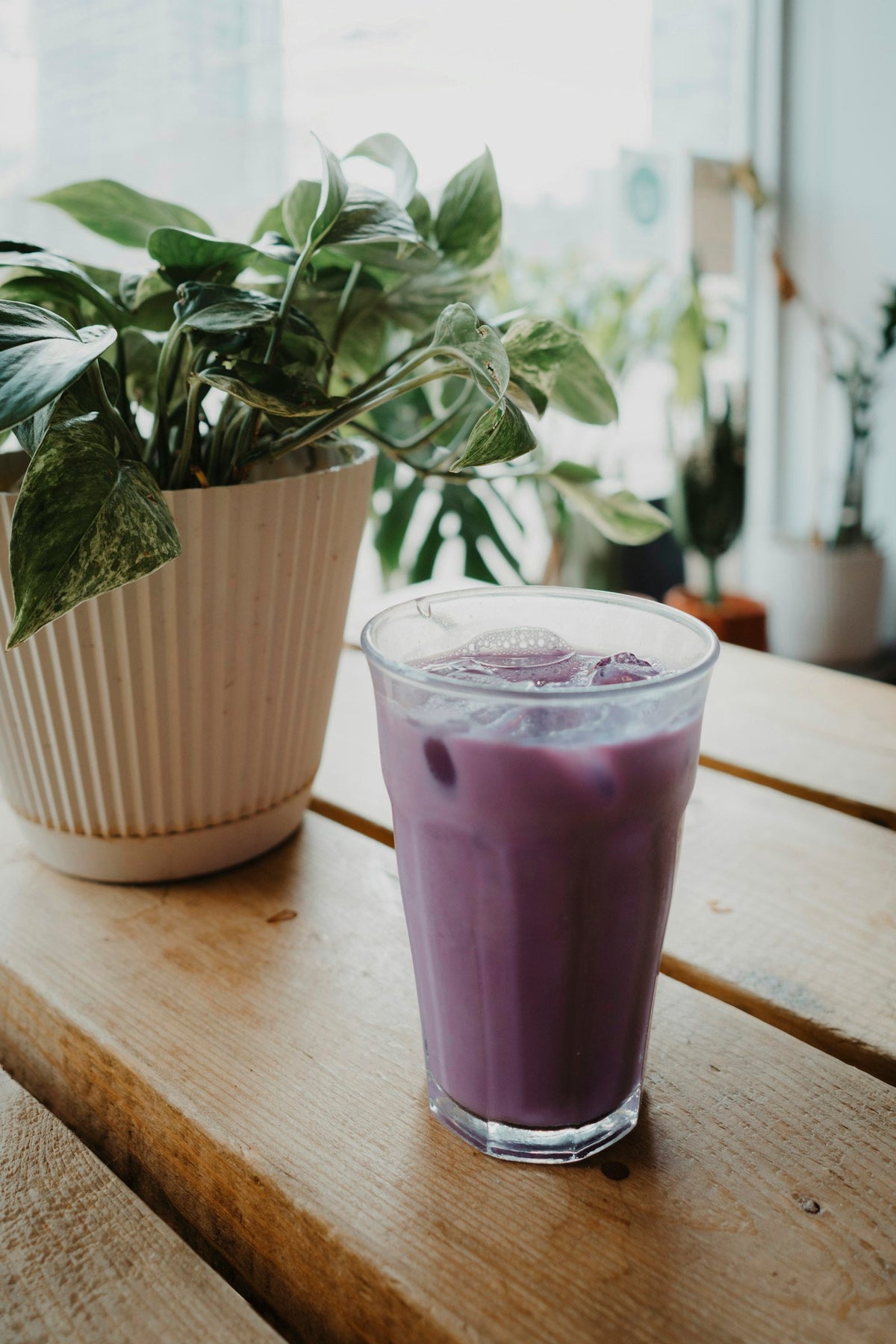 Boisson glacée violette posée sur une table en bois, à côté d'une plante verte — illustration d'un ube latte glacé maison