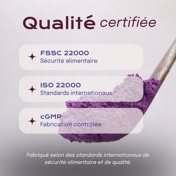 Qualité certifiée de la poudre d'ube Vytal Oya avec certifications internationales de sécurité alimentaire.